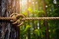 Secure knot binds brown rope to sturdy tree trunk, natures strength