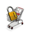 Secure shopping Royalty Free Stock Photo