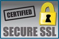 Secure SSL logo