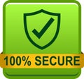 100 secure web button Royalty Free Stock Photo