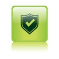 Secured / security icon web button