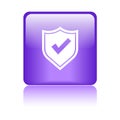 Secured / security icon web button