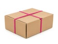 Securely packaged brown cardboard box with pink straps Royalty Free Stock Photo