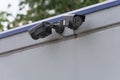 Security camera on building Royalty Free Stock Photo