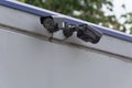 Security camera on building Royalty Free Stock Photo