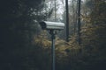 Security camera hidden in tree foliage ensuring natural outdoor surveillance Royalty Free Stock Photo