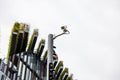 Security camera on a metal post under a gloomy sky