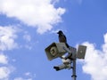 Security CCTV camera and loudspeaker on the pole. Royalty Free Stock Photo