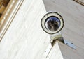 security CCTV camera or surveillance system fixed on old construction wall Royalty Free Stock Photo