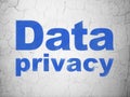 Security concept: Data Privacy on wall background Royalty Free Stock Photo