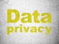 Security concept: Data Privacy on wall background Royalty Free Stock Photo