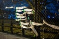 Security fence surrounds White house building after Capitol Hill riots with list of victums on the wall