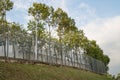 Security fencing at a residential community