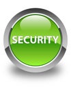 Security glossy green round button Royalty Free Stock Photo