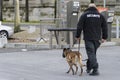 Security guard with a dog