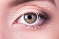 Security Iris or Retina Scanner being used on an Intense Macro Blue Human Eye, with Limited Palette. Royalty Free Stock Photo