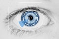 Security Iris Scanner on Blue Human Eye Royalty Free Stock Photo