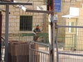 Security outside the Cave of the Patriarchs, Jerusalem