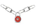 Security padlock with chain