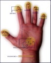 Security Scan Hand