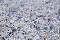 Security shredded paper - confetti, top view.