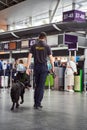 Security worker with detection dog walking down airport terminal Royalty Free Stock Photo