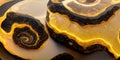 Sedate marco black and gold gold in turbulence pattern in agate. Royalty Free Stock Photo