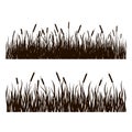 Sedge, reed, cane, bulrush. Black silhouette. Set. Royalty Free Stock Photo