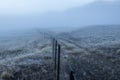 Sedgmere Lakes , morning Mist, NZ Royalty Free Stock Photo