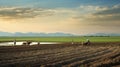 sediment alluvial plains landscape