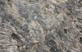 Sedimentary carbonate rock layers Royalty Free Stock Photo