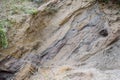 sedimentary layers of the rock in the sand scree. sand, pebbles and shells in sedimentary rocks