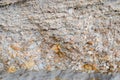 sedimentary layers of the rock in the sand scree. sand, pebbles and shells in sedimentary rocks
