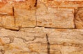 Sedimentary rock background Royalty Free Stock Photo