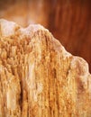 Sedimentary rock Royalty Free Stock Photo