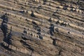 Sedimentary rock layers Royalty Free Stock Photo