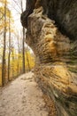 Sedimentary rock of Ritchie Ledges in Cuyahoga Valley National Park