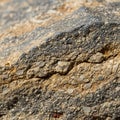 Of a sedimentary rock surface, showcasing a coarse texture with Royalty Free Stock Photo