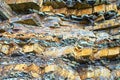 Sedimentary rocks. Carpathians Ukraine Royalty Free Stock Photo