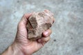 A sedimentary sandstone rock in the hand Royalty Free Stock Photo