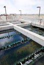 Sedimentation basins for purification of treated wastewater