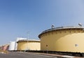 Sedimentation tank in a sewage treatment plant