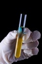 Sediments in chemical test tube - liquids separating Royalty Free Stock Photo
