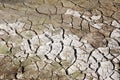 Sediments on soil in Yellowstone National Park