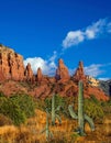 Saguaro cactus set in the shadow of the Coconino mountain range Arizona Royalty Free Stock Photo