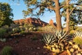 Sedona, Arizona evening landscape Royalty Free Stock Photo