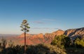 Sedona Arizona morning overlook red rock view. Royalty Free Stock Photo