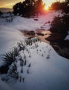 Snowy Cactus Sunset Sedona Royalty Free Stock Photo