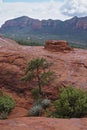 Sedona, Arizona, USA: Red sandstone formations after a summer rain storm