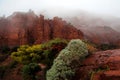 Sedona Red Sandstone Formations